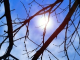 Thumbnail for: Modulate the intensity of Lens Flare based on an obscuration layer
