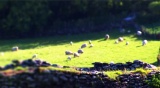 Thumbnail for: Tilt-Shift Miniature Wonderland