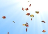 Thumbnail for: Falling leaves with Trapcode Particular