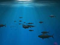 Thumbnail for: Underwater Scene in After Effects