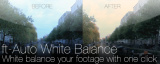Thumbnail for: ft-Auto White Balance